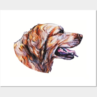 Cute Golden Retriever Face Posters and Art